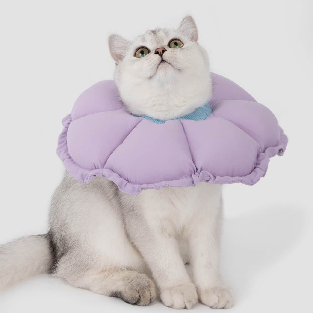 雙調節花瓣伊莉莎白頸圈(五色)